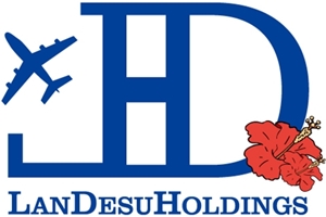 ランデスホールディングス